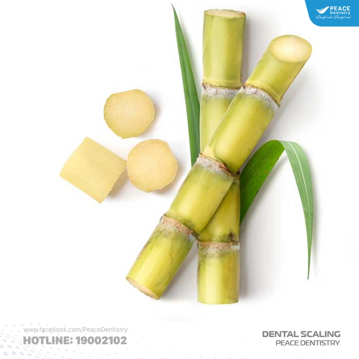 dùng mía để loại bỏ mảng bám đen