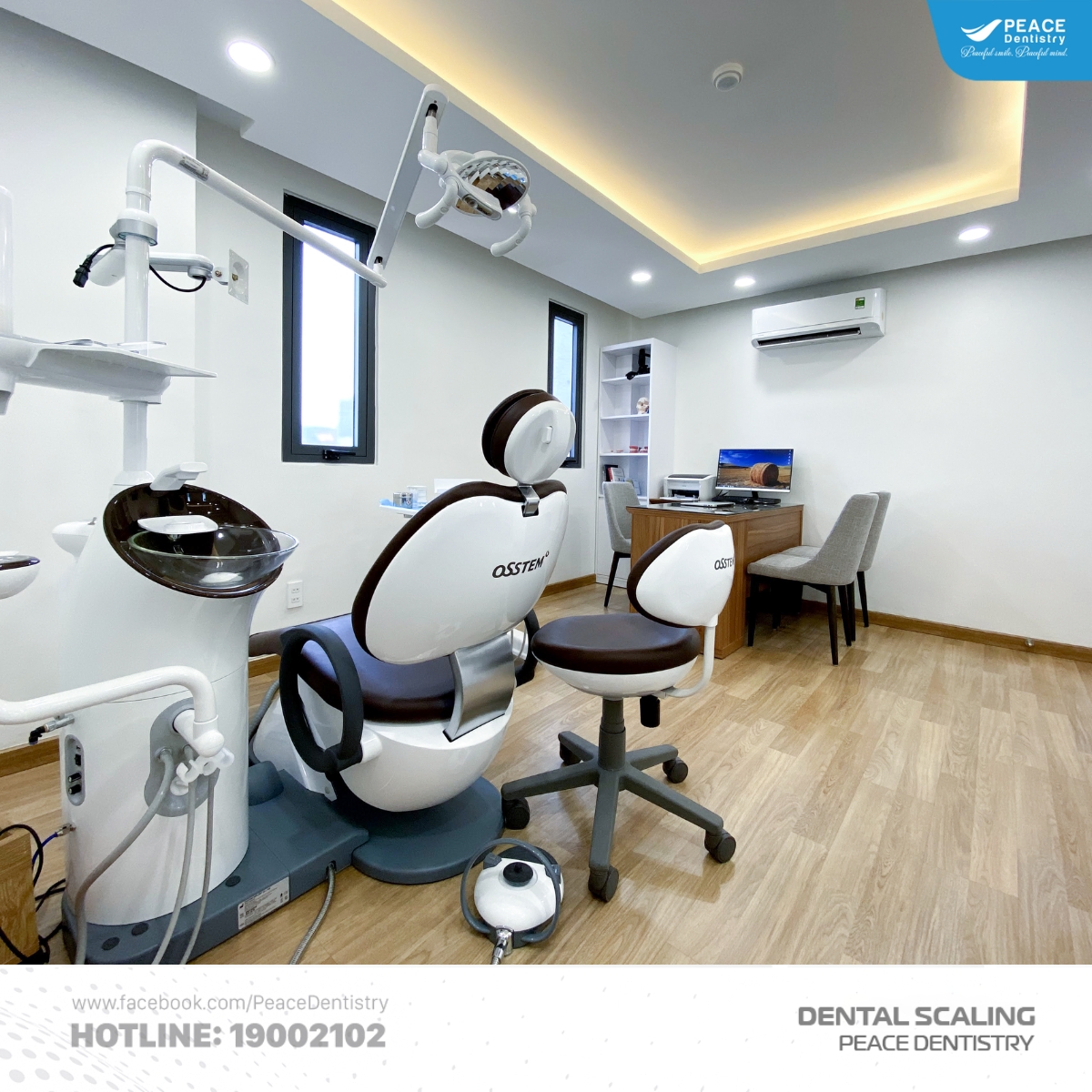 ghế nha kavo premium