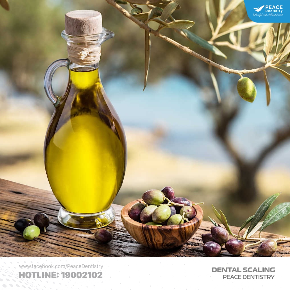 lấy cao răng tại nhà bằng dầu oliu