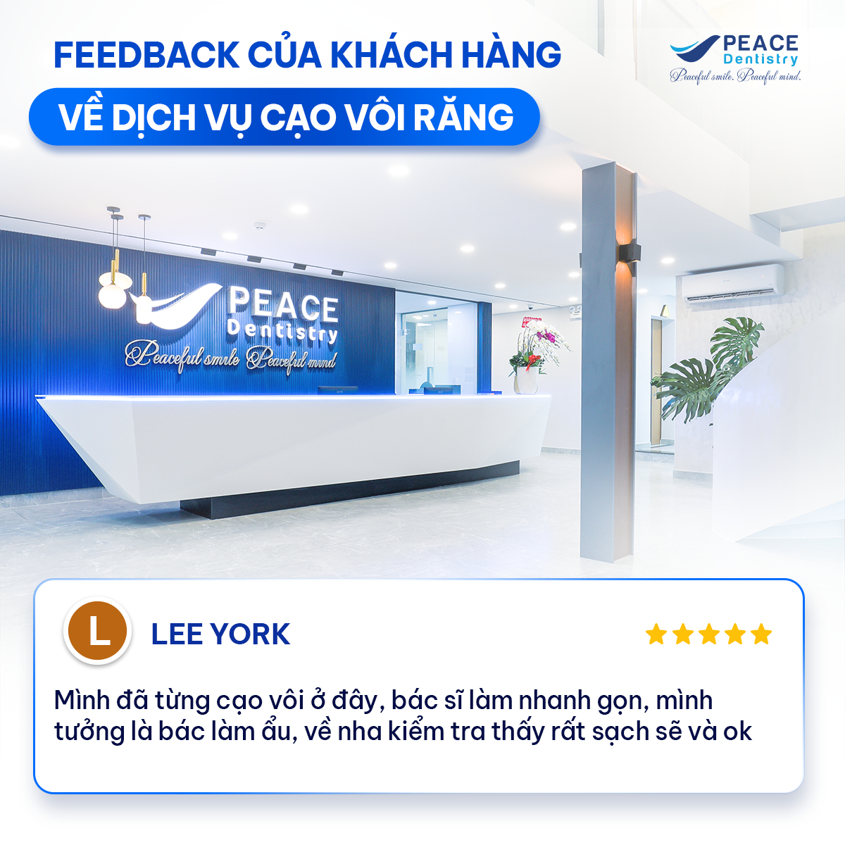 review của khách hàng
